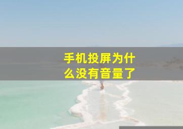 手机投屏为什么没有音量了