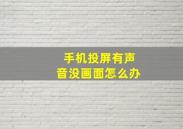 手机投屏有声音没画面怎么办