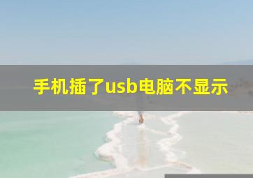 手机插了usb电脑不显示