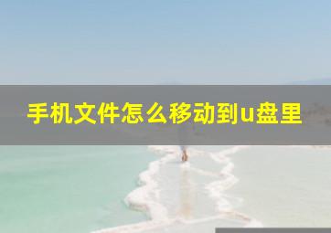 手机文件怎么移动到u盘里