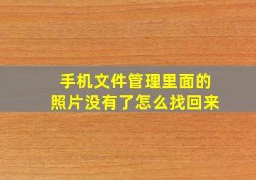 手机文件管理里面的照片没有了怎么找回来