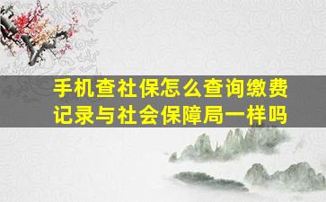 手机查社保怎么查询缴费记录与社会保障局一样吗