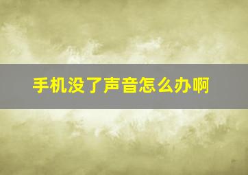 手机没了声音怎么办啊