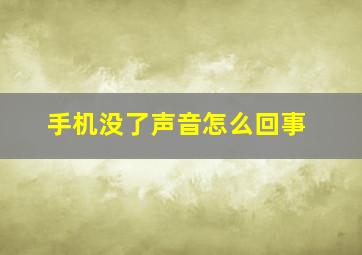 手机没了声音怎么回事