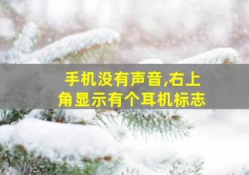 手机没有声音,右上角显示有个耳机标志