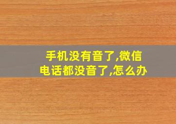 手机没有音了,微信电话都没音了,怎么办