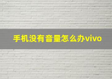 手机没有音量怎么办vivo