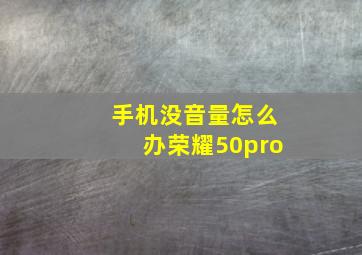 手机没音量怎么办荣耀50pro