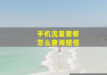 手机流量套餐怎么查询短信