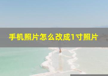 手机照片怎么改成1寸照片