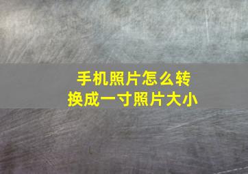 手机照片怎么转换成一寸照片大小