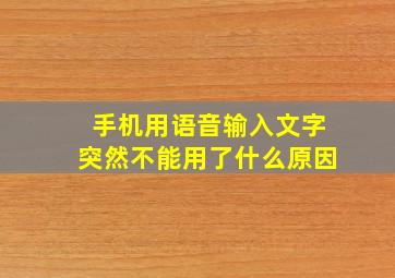 手机用语音输入文字突然不能用了什么原因