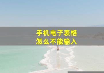 手机电子表格怎么不能输入