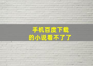 手机百度下载的小说看不了了