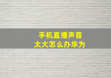 手机直播声音太大怎么办华为