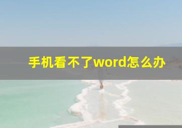 手机看不了word怎么办