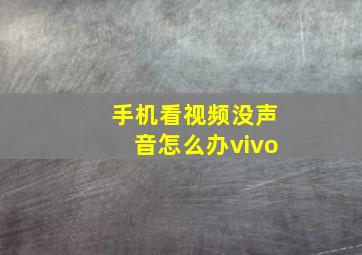 手机看视频没声音怎么办vivo