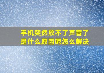 手机突然放不了声音了是什么原因呢怎么解决