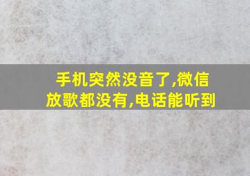 手机突然没音了,微信放歌都没有,电话能听到