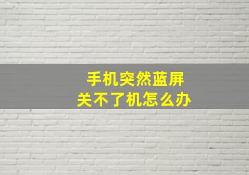 手机突然蓝屏关不了机怎么办