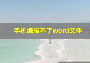 手机编辑不了word文件