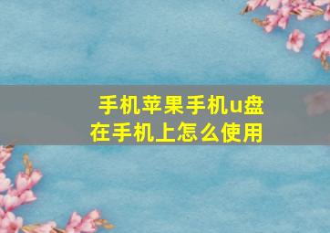 手机苹果手机u盘在手机上怎么使用