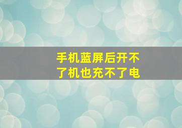 手机蓝屏后开不了机也充不了电