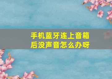 手机蓝牙连上音箱后没声音怎么办呀