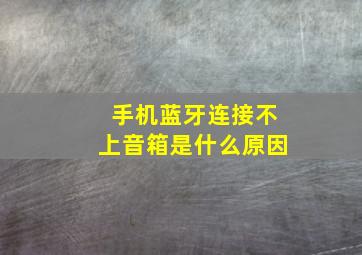 手机蓝牙连接不上音箱是什么原因