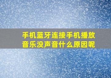 手机蓝牙连接手机播放音乐没声音什么原因呢