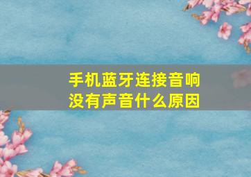 手机蓝牙连接音响没有声音什么原因