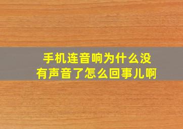 手机连音响为什么没有声音了怎么回事儿啊