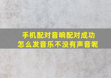 手机配对音响配对成功怎么发音乐不没有声音呢