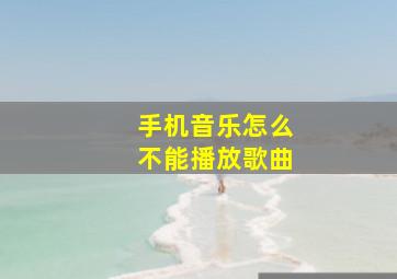 手机音乐怎么不能播放歌曲