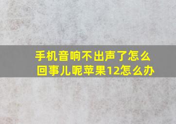 手机音响不出声了怎么回事儿呢苹果12怎么办