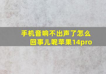 手机音响不出声了怎么回事儿呢苹果14pro