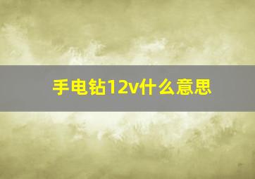 手电钻12v什么意思