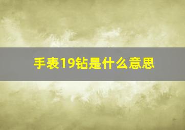 手表19钻是什么意思