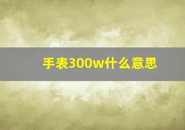 手表300w什么意思