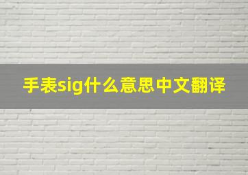 手表sig什么意思中文翻译