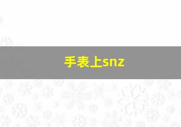 手表上snz