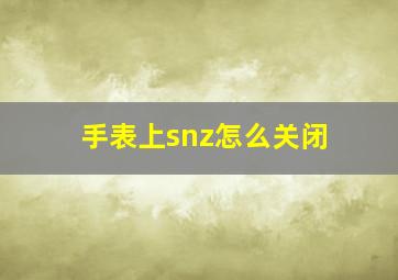 手表上snz怎么关闭