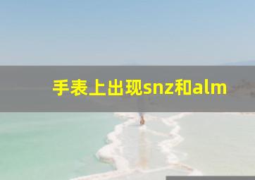 手表上出现snz和alm