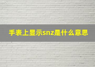 手表上显示snz是什么意思