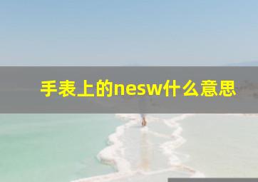 手表上的nesw什么意思