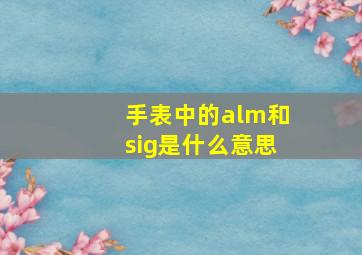 手表中的alm和sig是什么意思