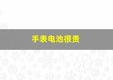 手表电池很贵