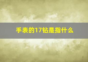 手表的17钻是指什么