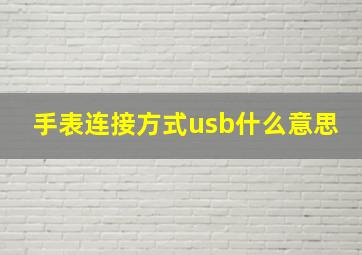 手表连接方式usb什么意思