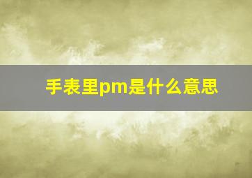 手表里pm是什么意思